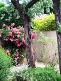 gite saint remy de provence : les jardins de Fontanille